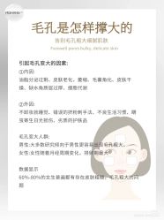 -玛莲朵·海菲秀冰珀科