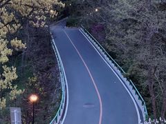 -棒棰岛宾馆景区