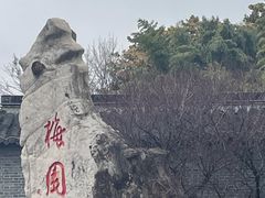 -梅园