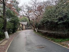 -北极阁公园