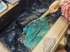 -重庆乌鱼庄·龙滋鲜(青羊大道店)