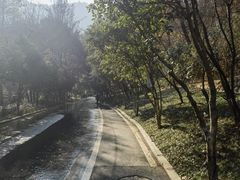 -灵顺寺