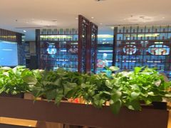 -徐记海鲜(阿波罗店)