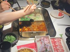 -九鼎轩脆毛肚火锅(南京东路店)