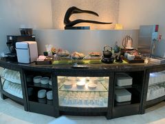 -虹桥机场国航贵宾室v8