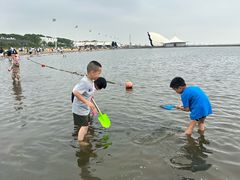 -碧海金沙