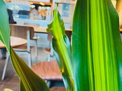 -Wagas沃歌斯(汇智店)