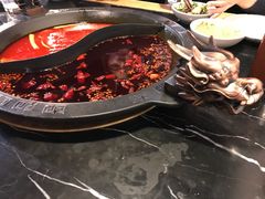 -杨家火锅(国美店)