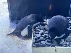 -上海海昌海洋公园