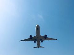 -空港花田景区