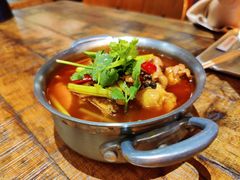肥肠鸡-铁公鸡·四川料理(天环广场店)