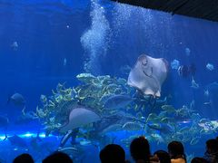 -华夏文旅海洋公园