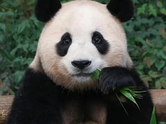 -老李家土菜馆·安吉地标美食
