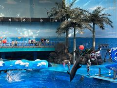 -海合安成都极地海洋公园