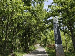 -青龙山国家森林公园