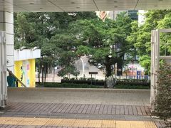 -九龙公园