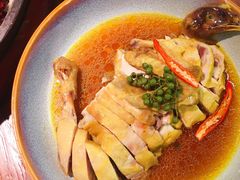 藤椒白切鸡-老板恋上鱼(振华商厦店)