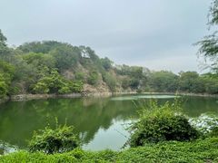 -王借岗森林公园