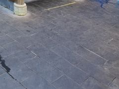 -西江传说•酸汤鱼(水东路店)