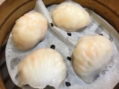 晶莹鲜虾饺-添好运点心专门店(北角店)