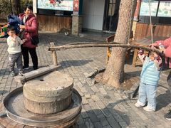 -溱湖国家湿地公园