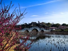 -上海海湾国家森林公园