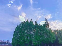 -黄兴公园