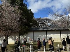 -醍醐寺