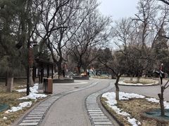 -宣武艺园