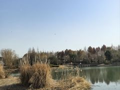 -尚贤河湿地