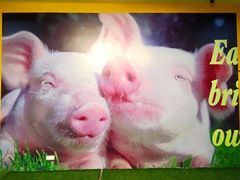 -chi K11艺术空间展览厅