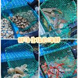 东明海鲜大排档｜现选、现煮的海鲜，新鲜好吃不踩雷！