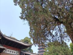 -大明寺素斋