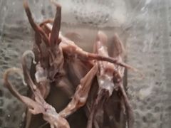 -杜三珍(南环店)