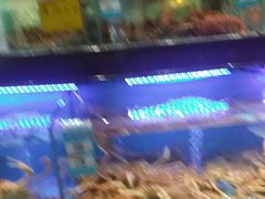 -阿伟海鲜楼·福建菜(延寿店)