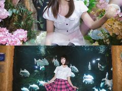 -南昌海洋公园