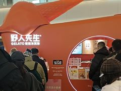 -野人先生现做冰淇淋(北京王府井东方新天地店)