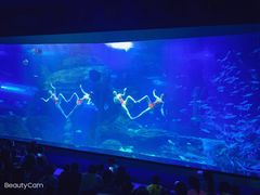 -多彩贵州城极地海洋世界