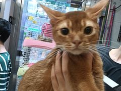 -宠爱我(南山店)