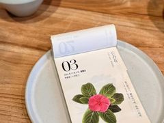 -自由生长植物工作室(深港花卉中心店)