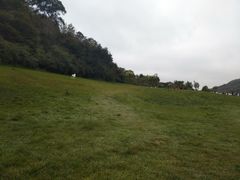 -南泥湾风景区