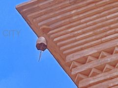 -大慈恩寺(大雁塔)