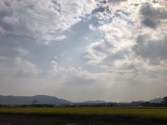 -光明小镇欢乐田园
