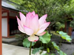 -三千院