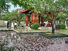 -大慈恩寺(大雁塔)