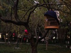 -绵阳人民公园(涪城区)