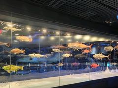 -国家自然博物馆