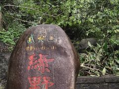 -武夷山风景名胜区-玉女峰