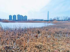 -水西公园
