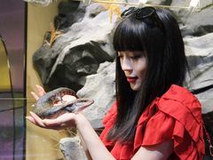 -帕帕拉兹宠物(亚洲旗舰店)